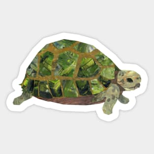 Tortoise Sticker